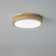 LED Flush Mount