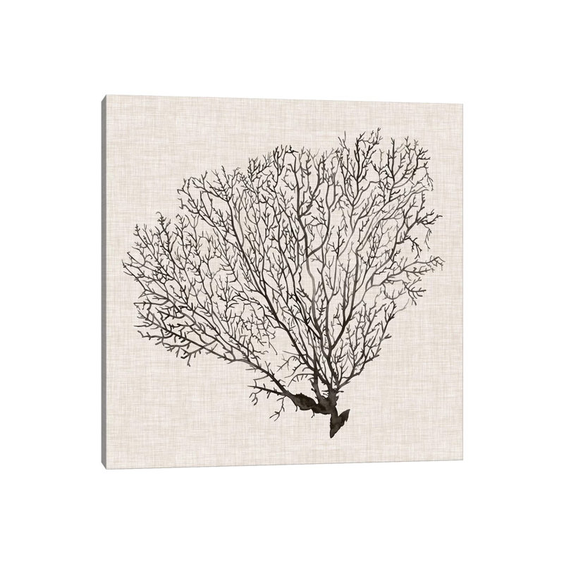 Shadow Sea Fan IV by Grace Popp - Wrapped Canvas Print, 30.48 cm H x 30.48 cm W