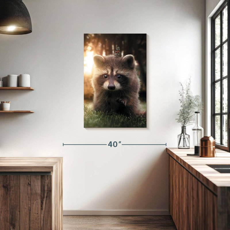 Brampt Raccoon Butterfly, 36" H x 24" W
