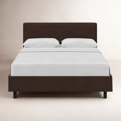 Eisley Upholstered Standard Bed