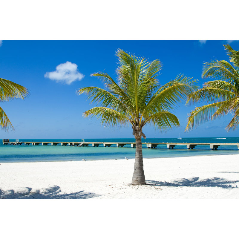 Palm trees on the beach, 61cm H x 91cm W