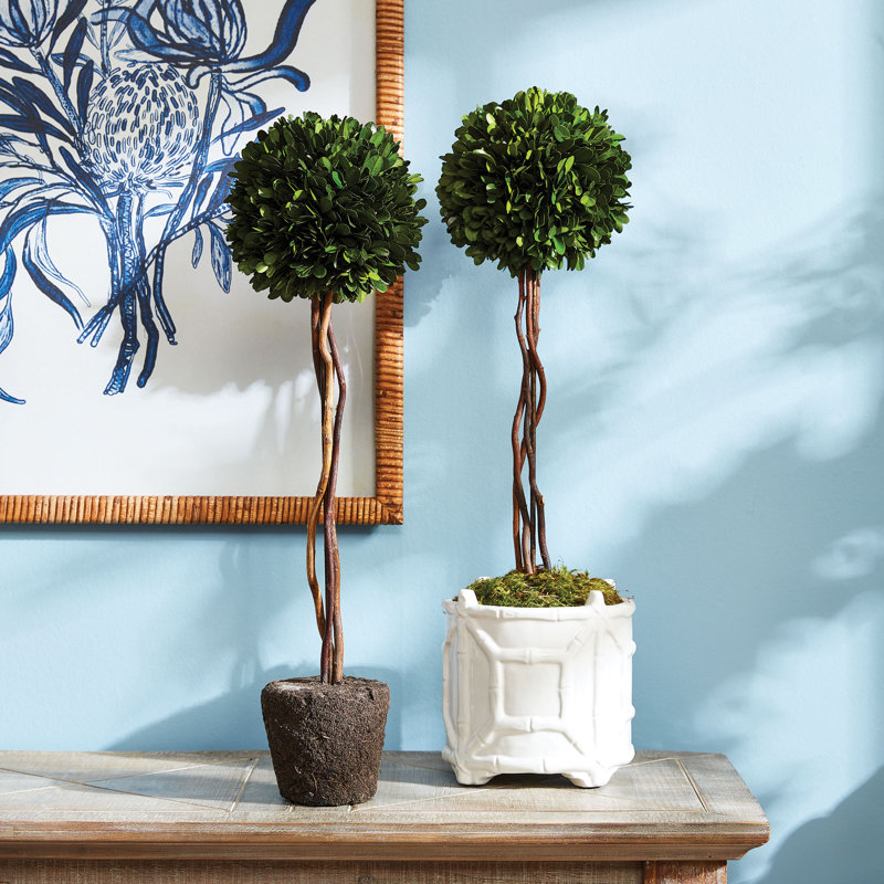 Alby Faux Boxwood Topiary in Planter, 24" H x 6.5" W x 6.5" D