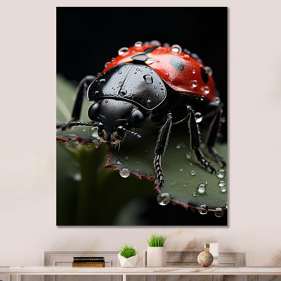 Leyona " Animal Ladybug I "