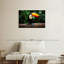 Toucan brésilien Brampt-107866934