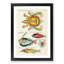 East Indies Fish & Crab Illustrations XLVI by Louis Renard - Picture Frame Painting Print-55547297-55547298