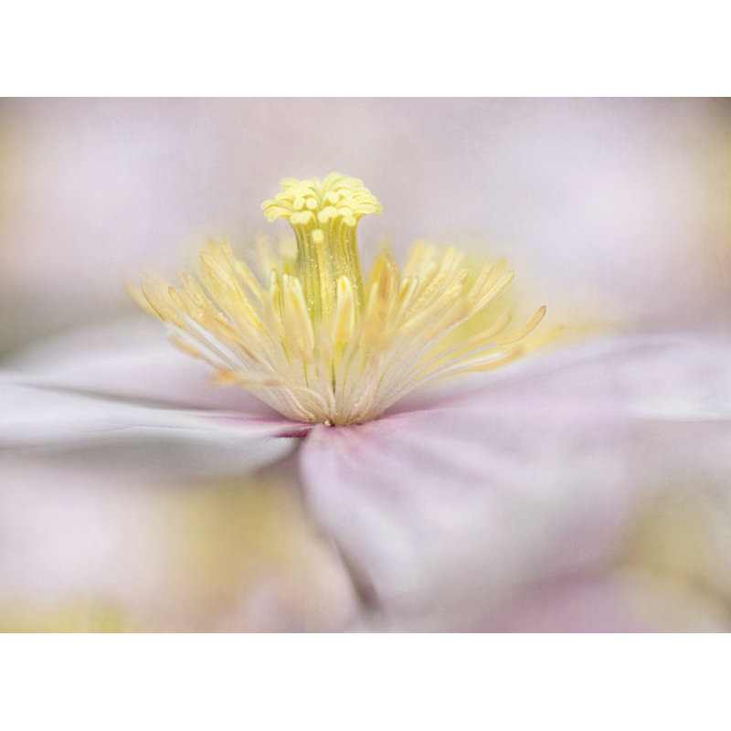 Wrapped Canvas Print, 76.2 cm H x 50.8 cm W