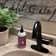 Lulani Aurora Single Hole Bathroom Faucet with Drain Assembly