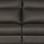 Edema Genuine Leather 2 Seater Reclining Sofa-1167014947-1107151588