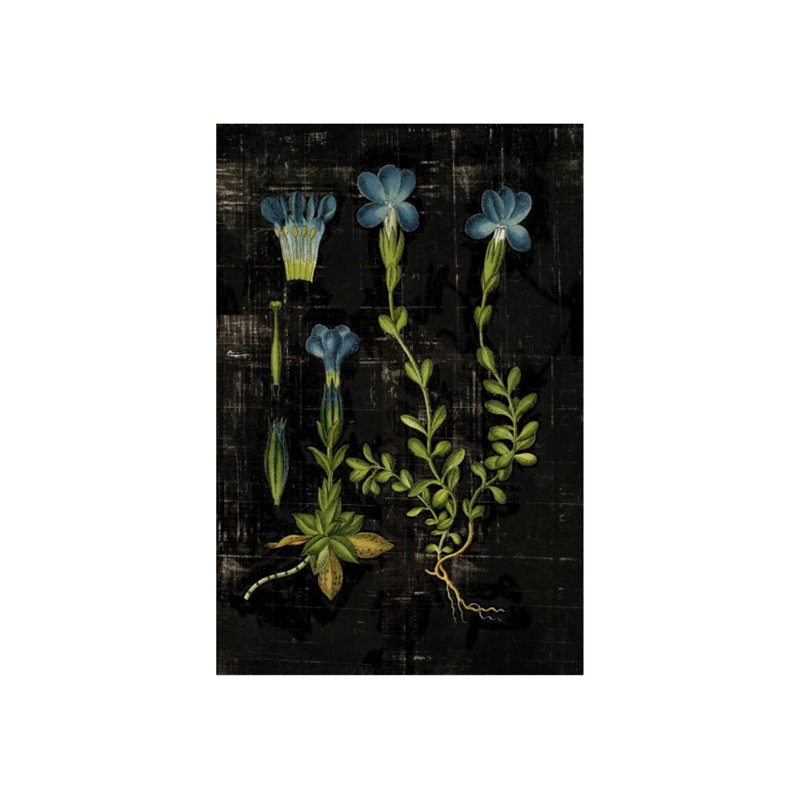 «Botanical Study III» par Michelle Bennett, impression, Extérieur