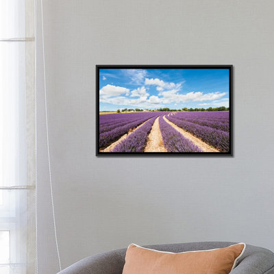 " Lavender Field In Summer, Provence, France " by Matteo Colombo