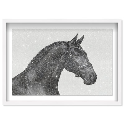Midnight Majesty I Shadowbox Animals Print by Oliver Gal, Black Frame, 15 x 10