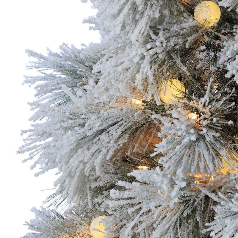 The Holiday Aisle® 7' Lighted Pine Christmas Tree & Reviews | Wayfair