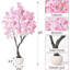 Arrangement