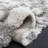 Adlea Shag 800 Performance Abstract Rug-1317962262