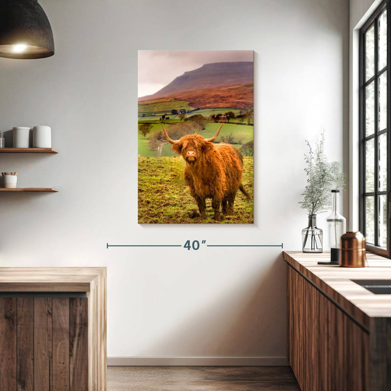 Brampt Bowland Highland Cow, 39" H x 26" W