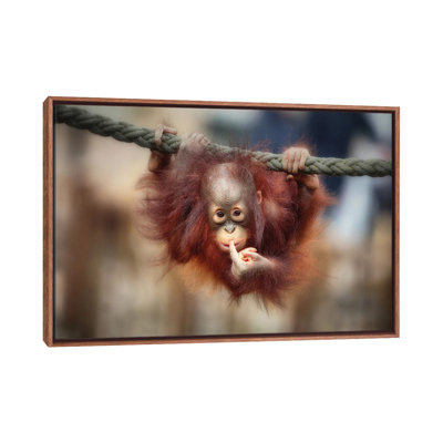 The Big Query 1 Piece Floater Frame Wall Art on Canvas