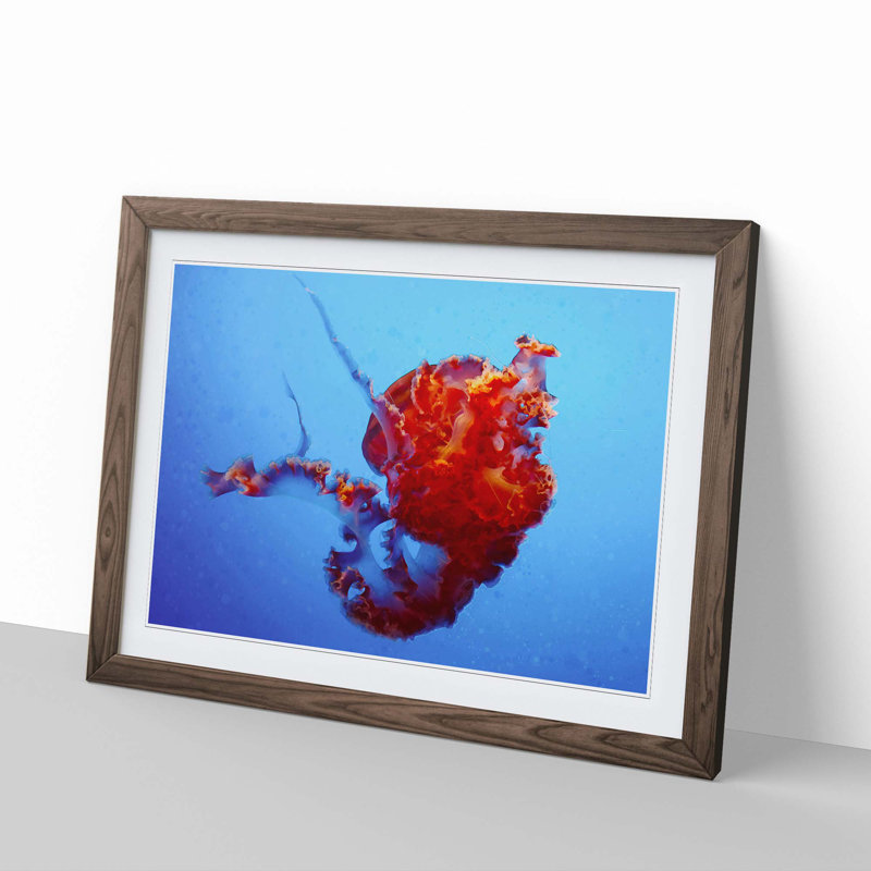 Beauty of the Jellyfish in Abstract - Picture Frame Graphic Art Print, Walnut Framed, 62cm H x 87cm W x 2cm D