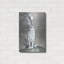 «Silver» par Maggie Vandewalle-630630620