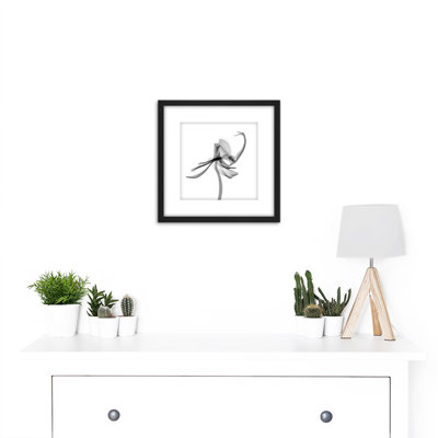 Schwartz NJIT Plant Transparent Greyscale X-Ray - Single Picture Frame Painting