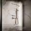 Awaken G110 1.75 Gpm Multifunction Handshower-27845186