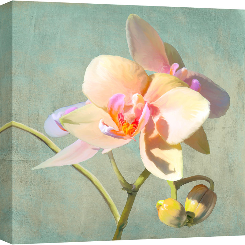 Jewel Orchids II by Luca Villa - Wrapped Canvas Print, 70cm H x 70cm W x 4cm D
