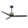 52 In. 3 Solid Wood Blades Indoor Ceiling Fan With Led Light