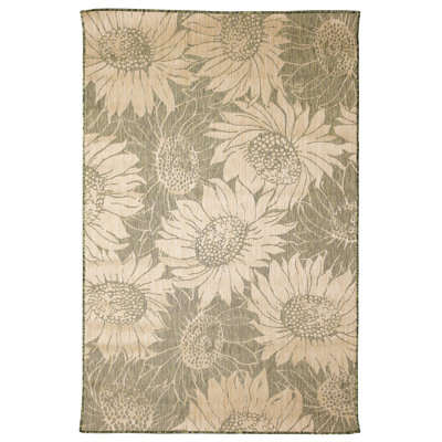 Vannoy Rug