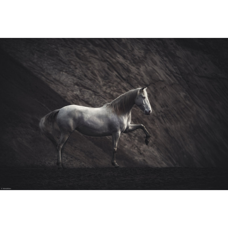 Wrapped Canvas Print, 60.96 cm H x 91.44 cm W