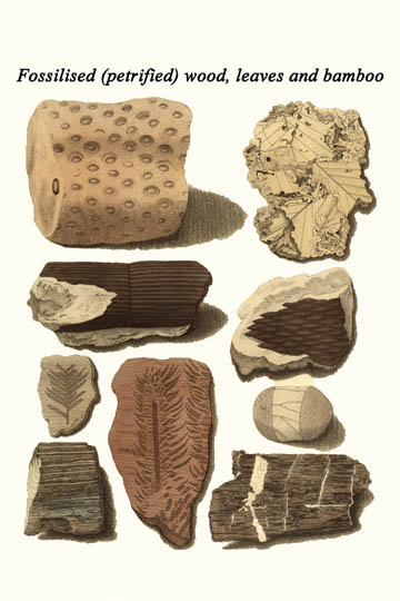 Feuilles de bois fossilisées et bambou-impression, H 36 po x l 24 po x P 1,5 po