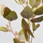 Branche d'eucalyptus artificiel Audet (1 tige)-640572624