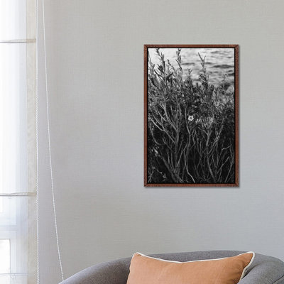 Tenaya Lake, Yosemite National Park II by Bethany Young - Print on Canvas