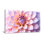 Plantes et fleurs, fleur de dahlia, reproduction d'art