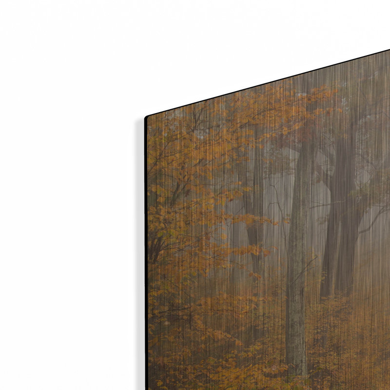 Art mural en métal Latitude Run® «Passing Through» par Patrick Zephyr, H 24 po x l 36 po