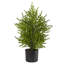 Artificial Christmas Tree-241265018
