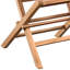 Ashdown Natural Finish Indoor-Outdoor Slatted Teak Folding Patio Chair