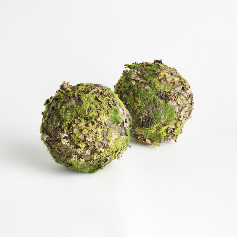 Ensemble de 2 orbes 8 po Mossy Lichen