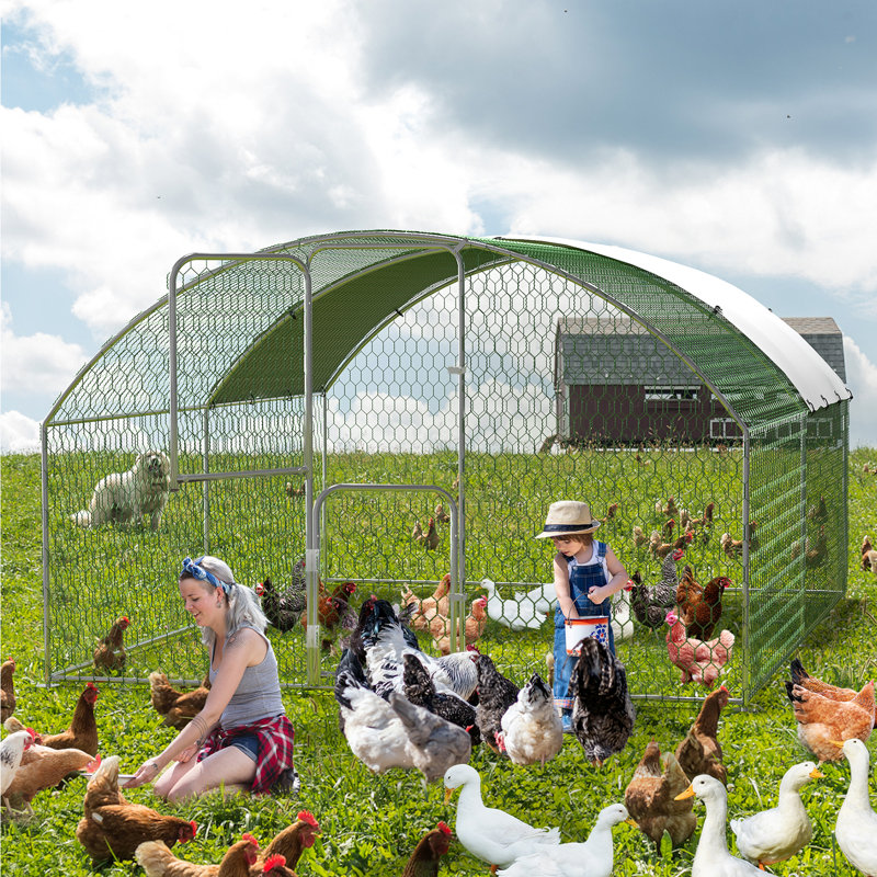 Chicken Coop, 200cm H x 300cm W x 400cm D