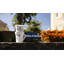 Seltmann Weiden Coffee Mug-106868523