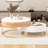 Anamta Modern Round Lift-top Nesting Coffee Tables with 2 Drawers-222148073-222148078