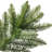 84' Lighted Fir Christmas Tree