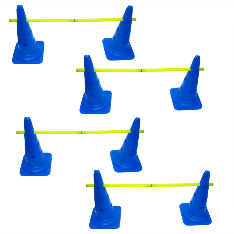 Dog Agility