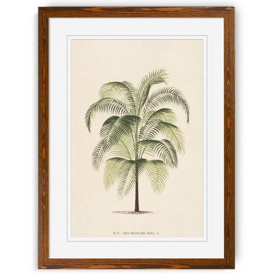 « palmierss iii » par paul cezanne-reproduction d’art sur image