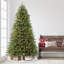 Fraser 7.5' Lighted Artificial Fir Christmas Tree