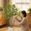 Arbre tropical artificiel artificiel de 6 pi avec plante blanche Dracaena