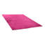 Shine Handwoven Berry Red Rug-16757612