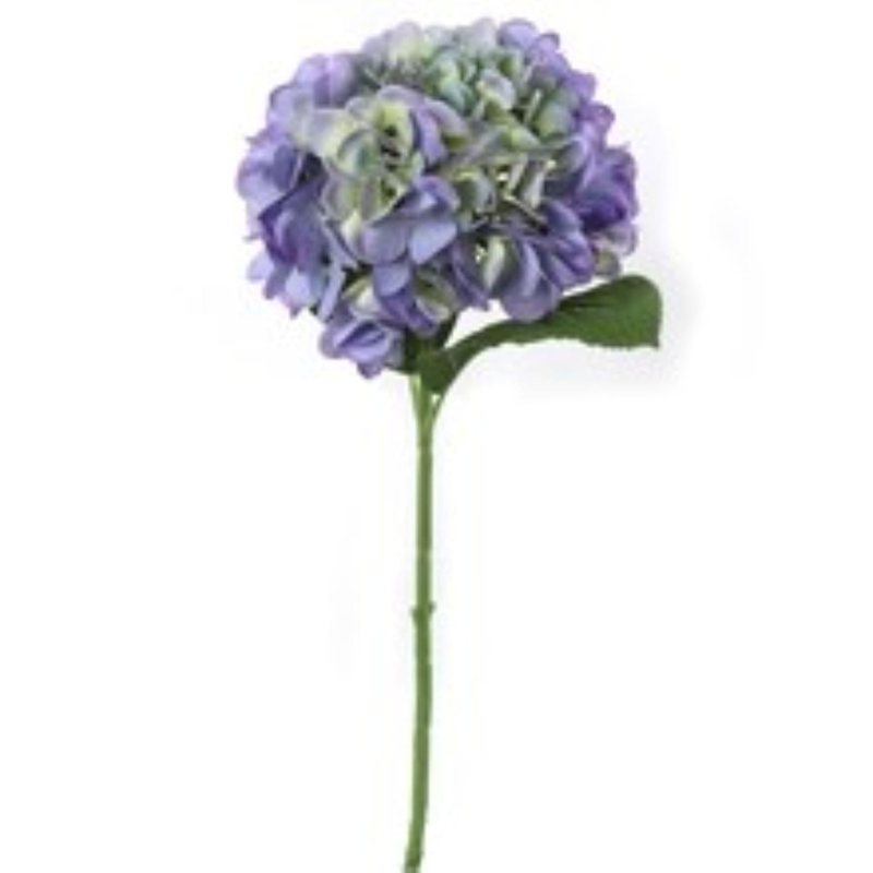 Charmante tige d'hortensia de Pervenche de 18 pouces - Enchanteur de 7 pouces de diamètre