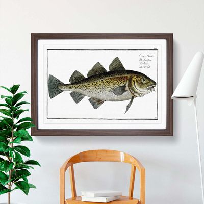 Cod Fish by M.E. Bloch - Picture Frame Painting