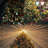 Aarah LED String Light Rubber Strand 8 Mode Adapter Waterproof for Indoor/Outdoor-2114147046