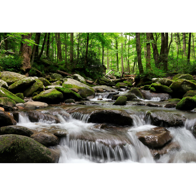 Great Great Smoky Mountains par - Photographie de toile tendue, L 12 po x H 8 po