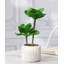 Sapin artificiel 12,8 po